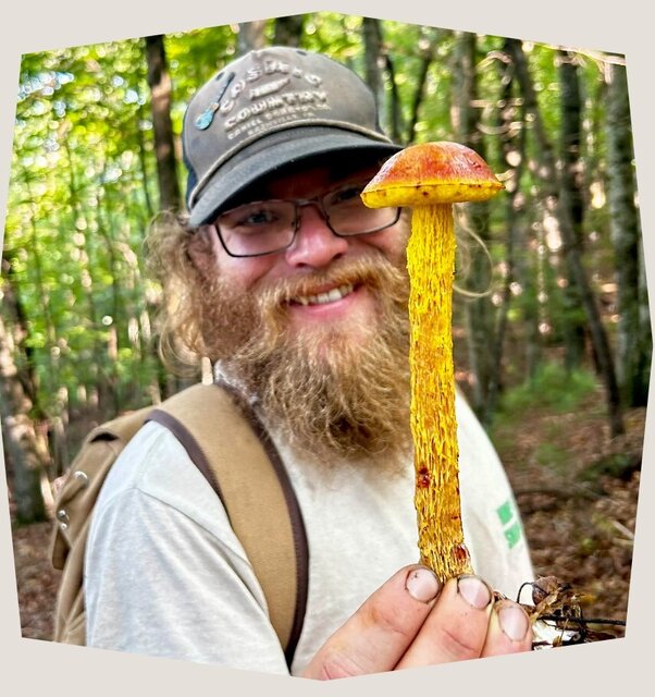 Image 1 for Guided Mushroom Foraging Experience