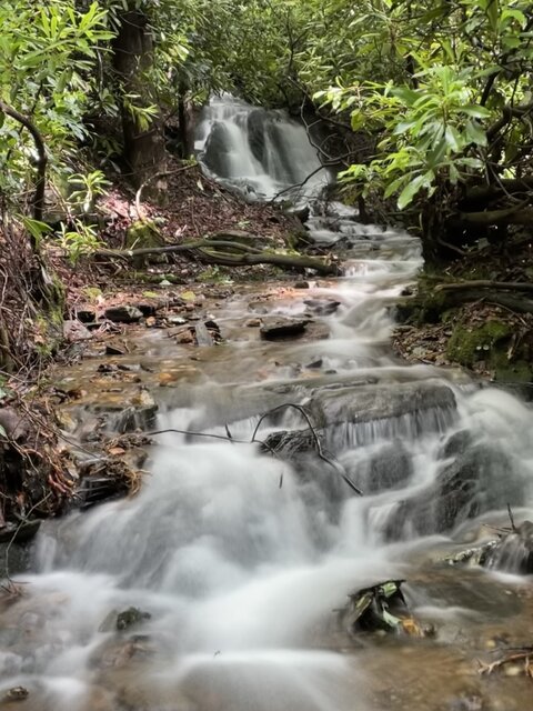 Image 1 for Waterfall Massage Fee