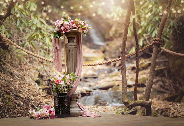 Image 1 for Diamond Elopement Package