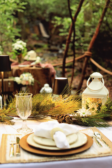 Image 7 for Diamond Elopement Package