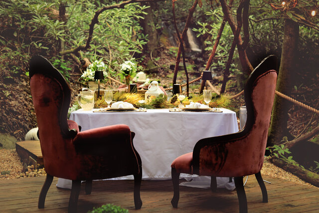 Image 10 for Diamond Elopement Package