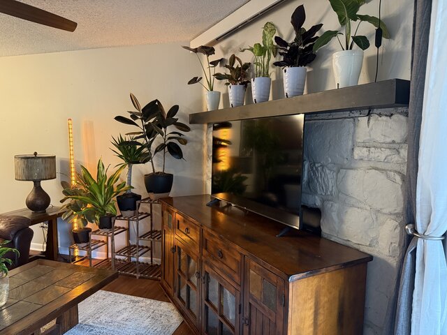 Image 1 for Timberlake