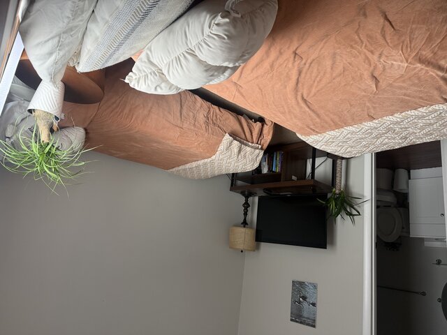 Image 3 for Timberlake