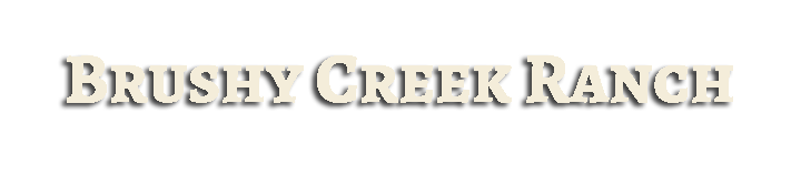 Brushy Creek Ranch