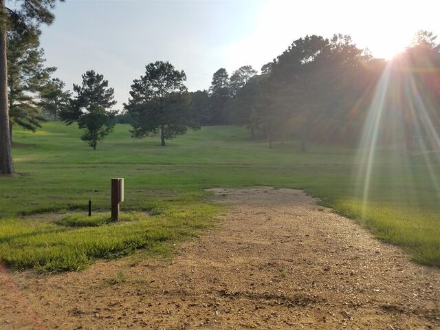 Image 1 for Campsite #11