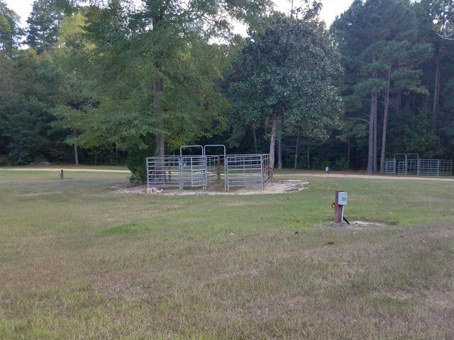 Image 1 for Campsite #20