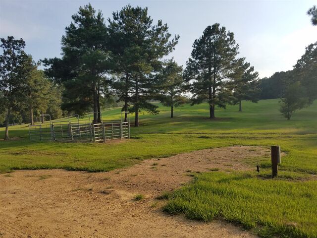 Image 1 for Campsite #12