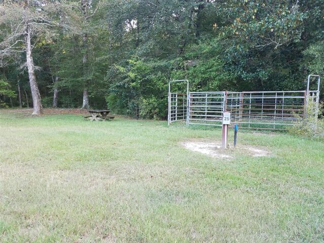 Image 1 for Campsite #25