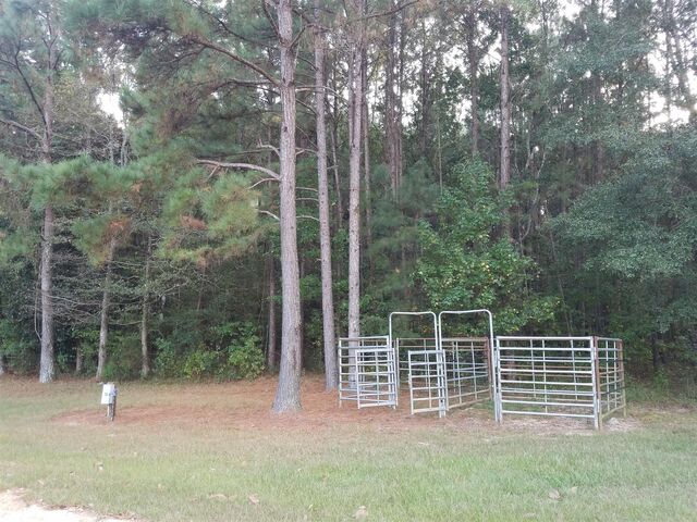 Image 1 for Campsite #19
