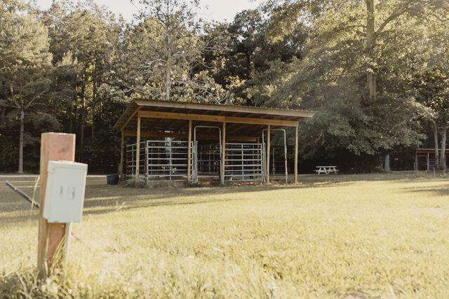 Image 1 for Campsite #18