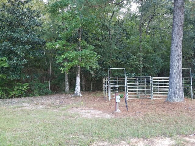 Image 1 for Campsite #23