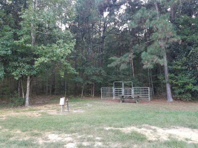 Image 1 for Campsite #21