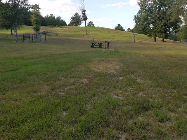Image 1 for Campsite #24