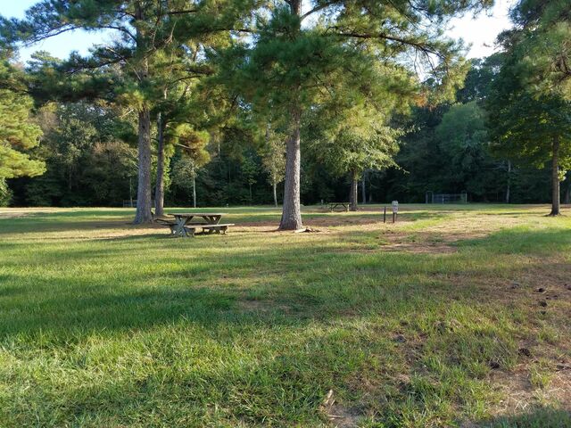 Image 1 for Campsite #14