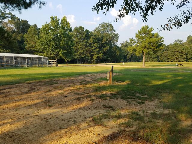 Image 1 for Campsite #5
