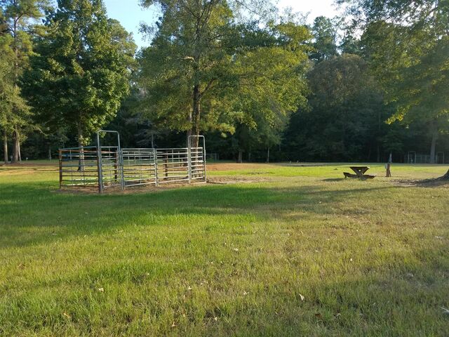 Image 1 for Campsite #16