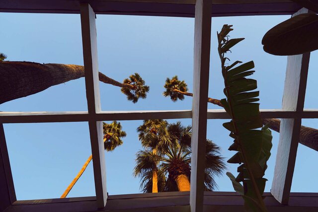 Image 4 for Fig Rooms