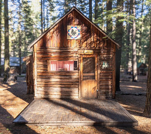 Image 1 for Squirrel