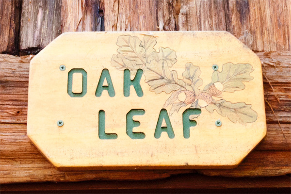 Image 8 for Oak Leaf