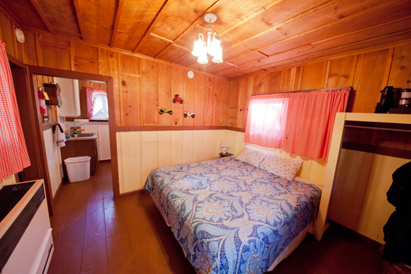 Image 2 for Squirrel