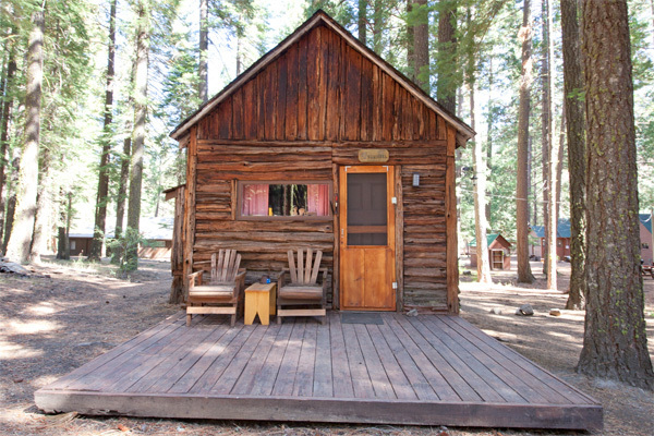 Image 10 for Squirrel