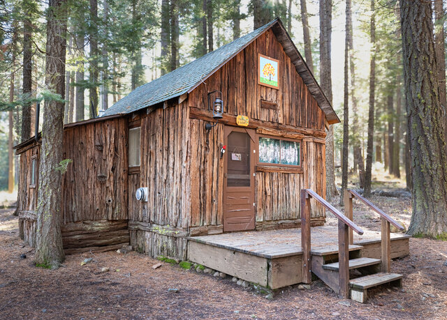 Image 1 for Oak Leaf