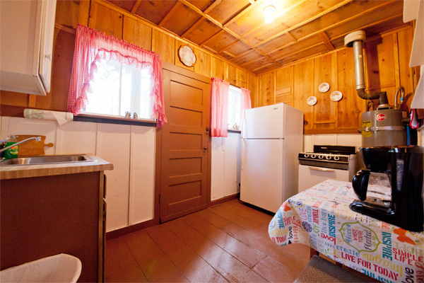 Image 5 for Squirrel