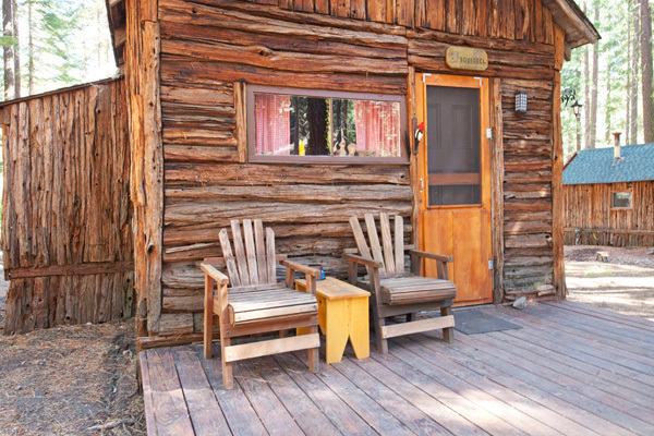 Image 9 for Squirrel