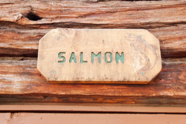 Image 9 for Salmon