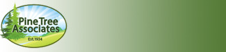 Pine Tree Associates, Inc.
