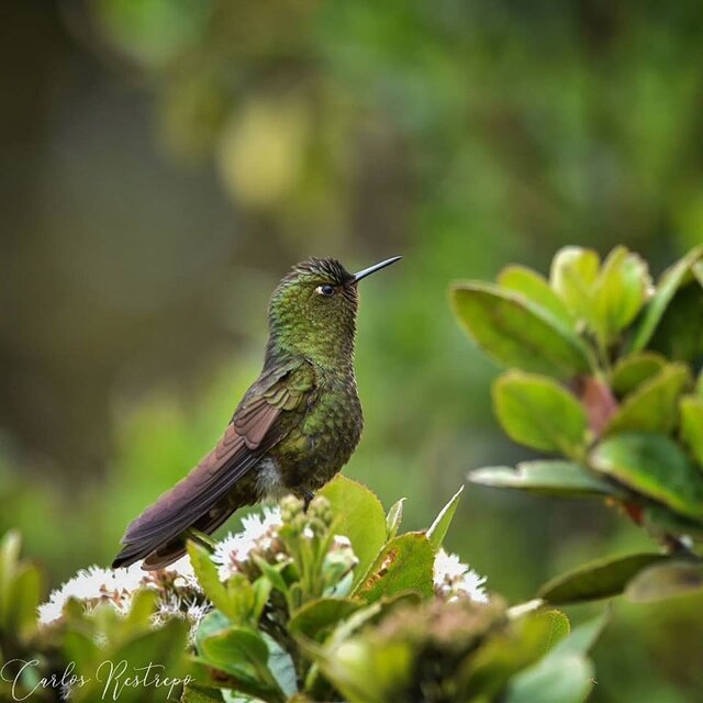 Image 4 for FUERTESI # 2 - Twin Room