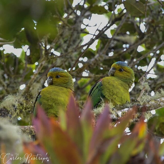 Image 4 for FUERTESI # 3 - Twin Room