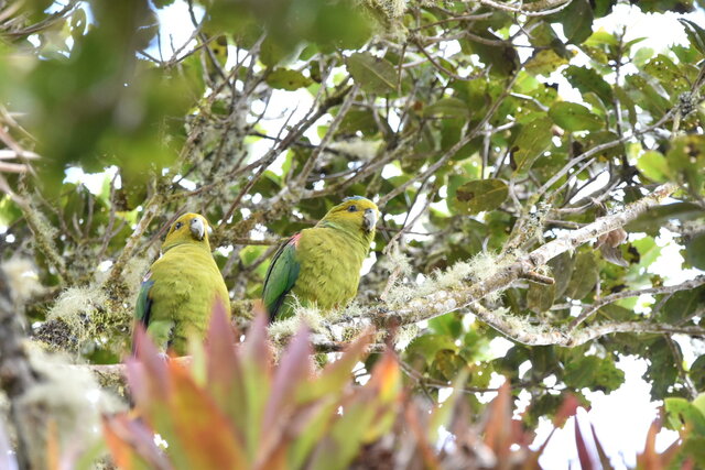 Image 4 for FUERTESI # 1 - Twin Room