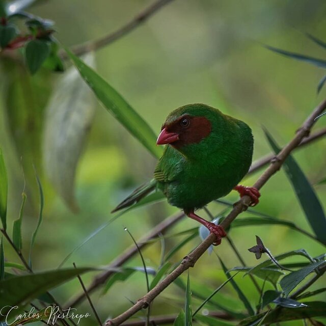 Image 4 for FUERTESI # 6 - Twin Room