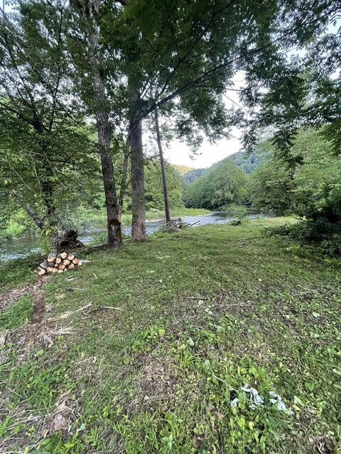 Image 1 for Tent Site #2