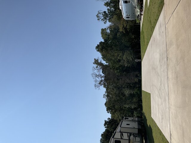 Image 2 for 702 The Treeline Back In