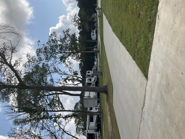 Image 2 for 219 The Woods Back In