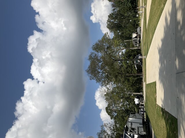 Image 3 for 234 The Woods Back In