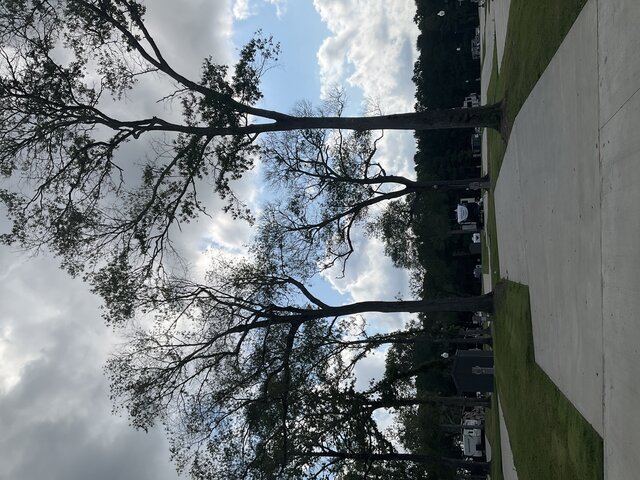 Image 2 for 212 The Woods Back In