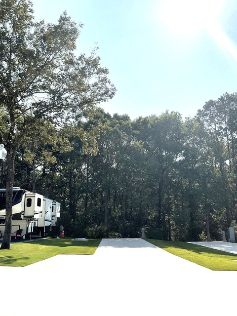 Image 1 for 528 The Treeline Back In