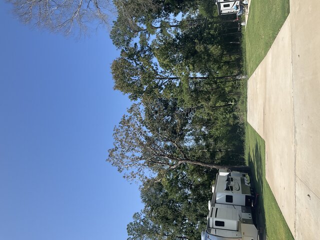 Image 1 for 119 The Woods Back In Prime