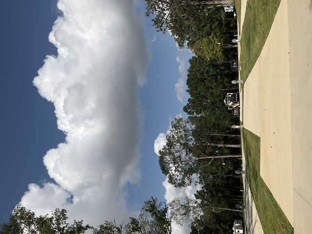 Image 3 for 231 The Woods Back In