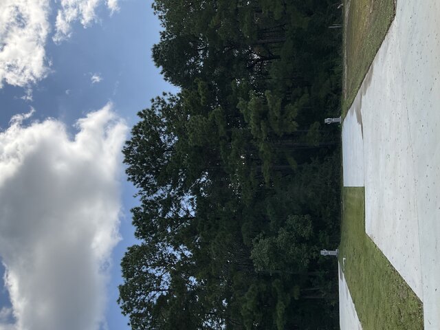 Image 1 for 525 The Treeline Back In