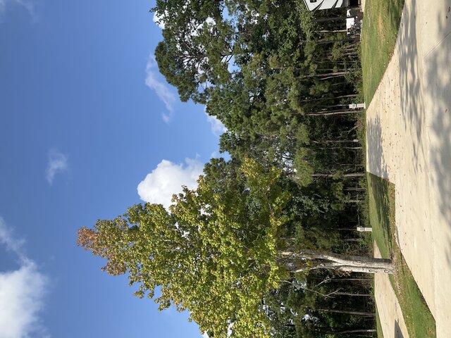 Image 1 for 108 The Woods Back In