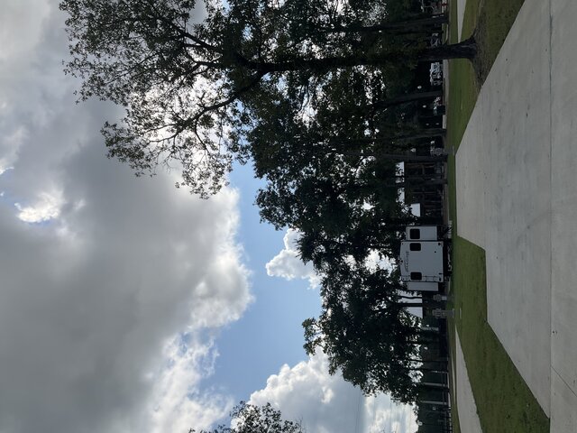 Image 1 for 206 The Woods Back In