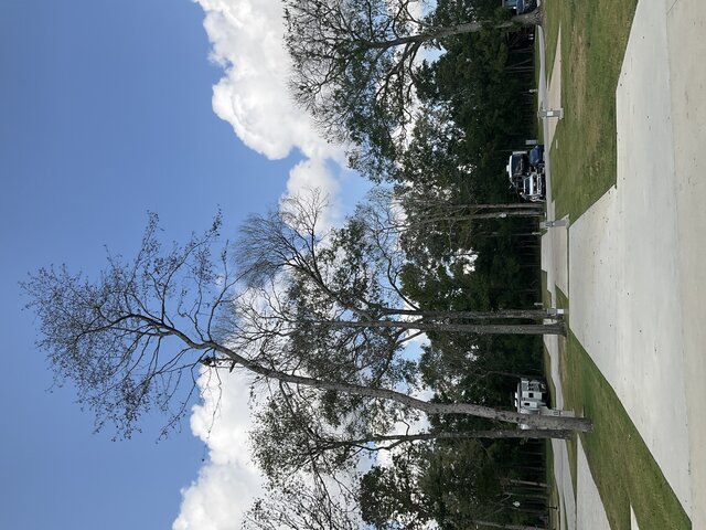 Image 2 for 226 The Woods Back In