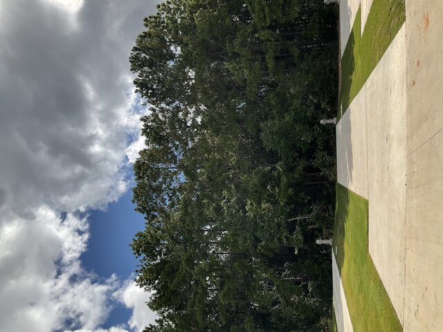 Image 1 for 532 The Treeline Back In