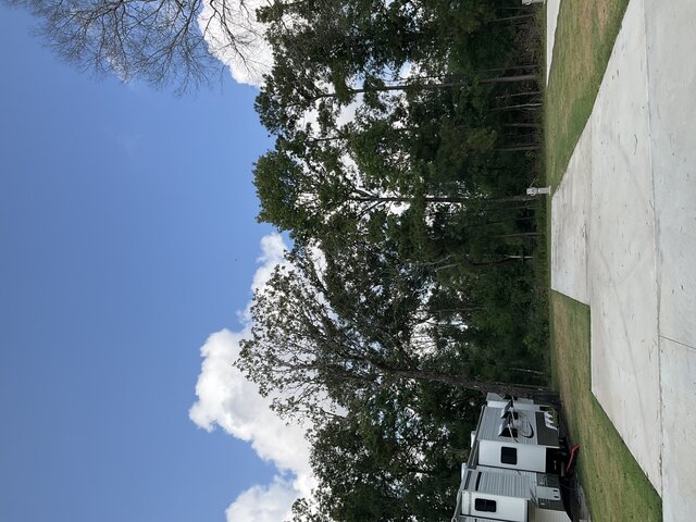 Image 2 for 118 The Woods Back In