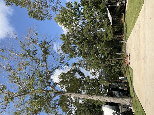 Image 2 for 105 The Woods Back In