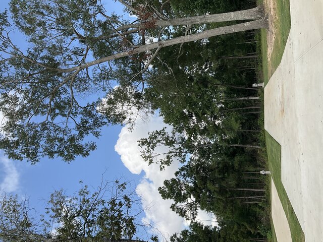 Image 2 for 111 The Woods Back In